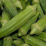 Okra.png