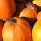 Pumpkin.png